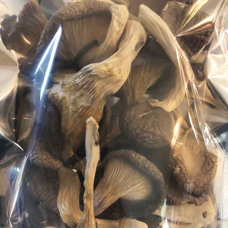 dried-oyster-mushrooms-1-ounce